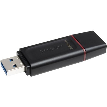 Accessories Kingston DTX256GB