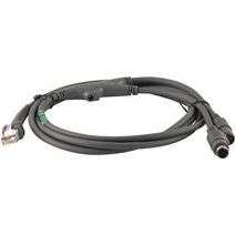 Cables Wasp 633808929633
