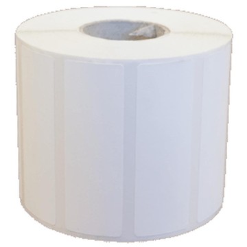 Epson, BOPP Satin Gloss Label, Continuous Roll, 203mm x 68m
