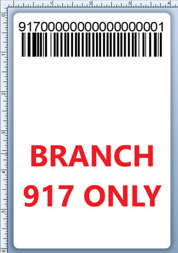 BCI DEXTER-4X6-LPN-917 Barcode Label