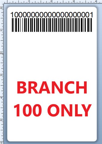 BCI DEXTER-4X6-LPN-100 Barcode Label