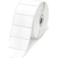 Epson, Label roll, Polyester, 105mm x 29m image