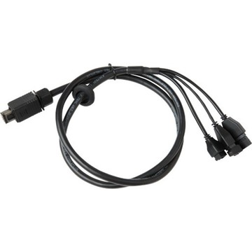 Cables Axis 5506-201
