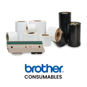 Étiquettes Brother TZE111G