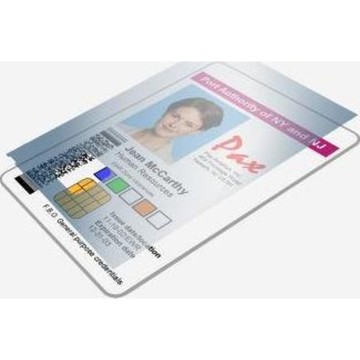 ZXP7 1 mil, HOLO PARED, TOP, SAFE, 750 PARCHE