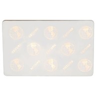 Zebra white composite cards, 30 mil, World Globe (500 cards) image
