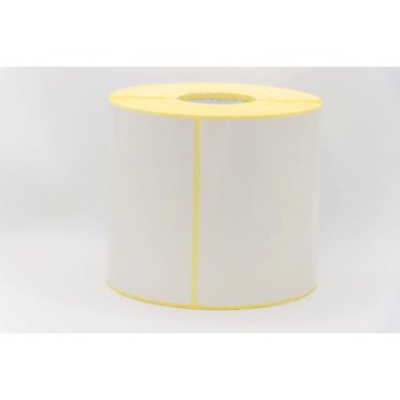 Box of 6 rolls of 100 x 100mm pre-cut, semi-gloss thermal transfer labels.Each roll contains 700 labels