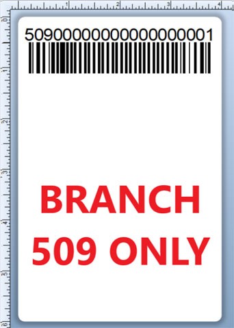 BCI DEXTER-4X6-LPN-509 Barcode Label