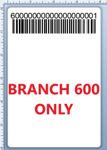 BCI DEXTER-4X6-LPN-600 Barcode Label