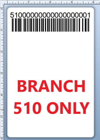 BCI DEXTER-4X6-LPN-510 Barcode Label
