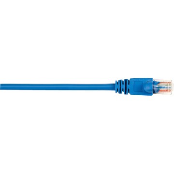 Black Box CAT5EPC-010-BL-10PAK Cables