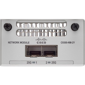 Accessories Cisco C9300-NM-2Y