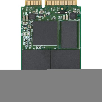 Accessories Transcend TS256GMSA370