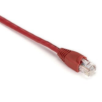 Black Box EVNSL83-0007 Cables