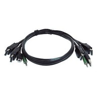 image Cables Black Box SKVMCBL-2DP-10TAA