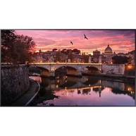 Samsung LH50QBREBGCXGO Digital Signage image
