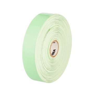 Zebra Z-Band Fun Armbänder Direktthermisch, Polypropylen, Grün, 1" x 10", 350 pro Rolle, Matt