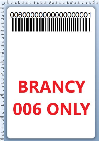 Étiquettes BCI DEXTER-4X6-LPN-006
