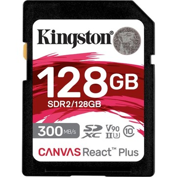 Kingston SDR2128GB Accessories