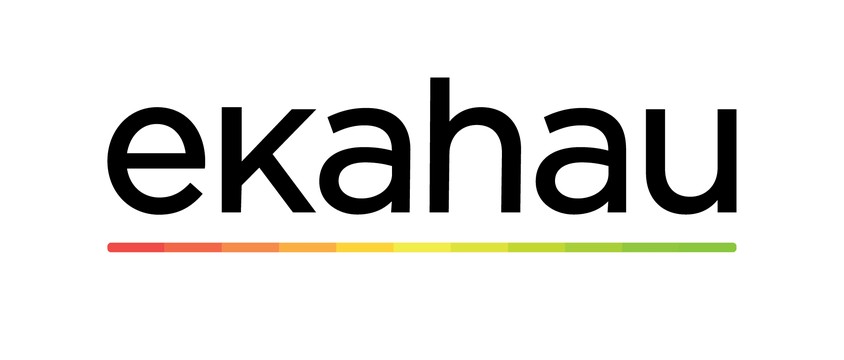 Ekahau EKAHAU-NETWORK-TESTING Network Testing